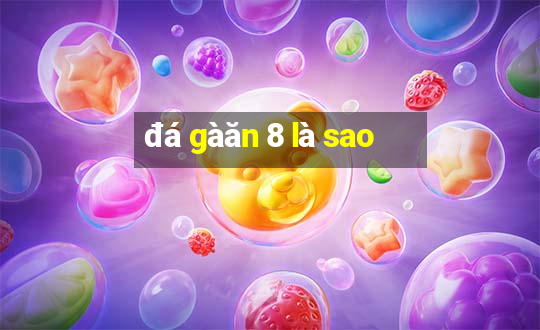 đá gà ăn 8 là sao