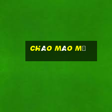 chào mào mũ