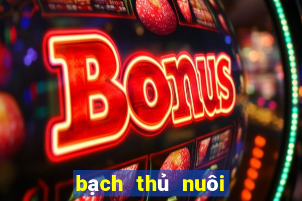 bạch thủ nuôi khung 3 ngày