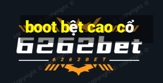 boot bệt cao cổ