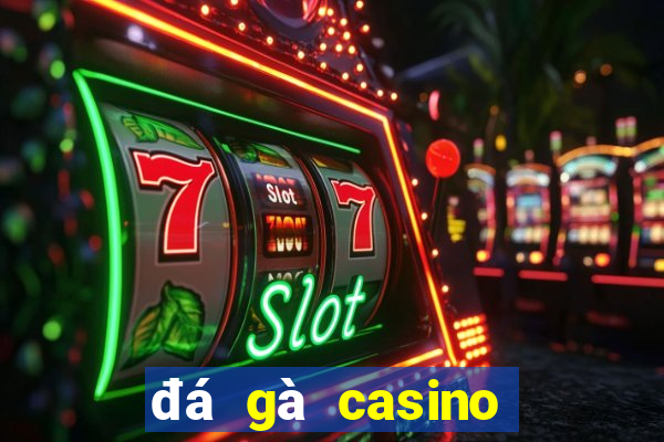 đá gà casino ngày hôm nay