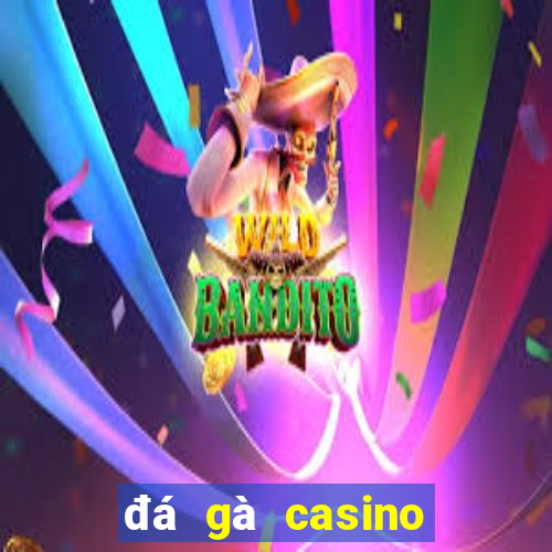 đá gà casino ngày hôm nay