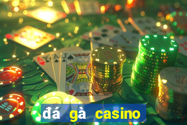 đá gà casino ngày hôm nay