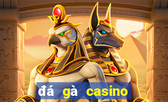 đá gà casino ngày hôm nay