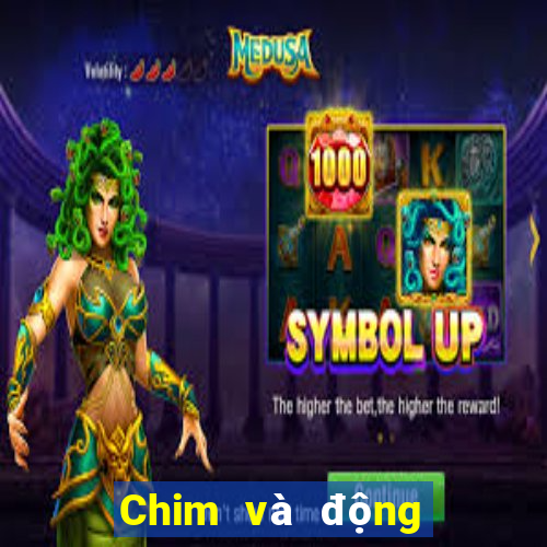 Chim và động vật trực tuyến