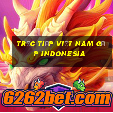 trực tiếp việt nam gặp indonesia