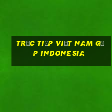 trực tiếp việt nam gặp indonesia