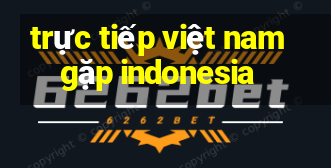 trực tiếp việt nam gặp indonesia