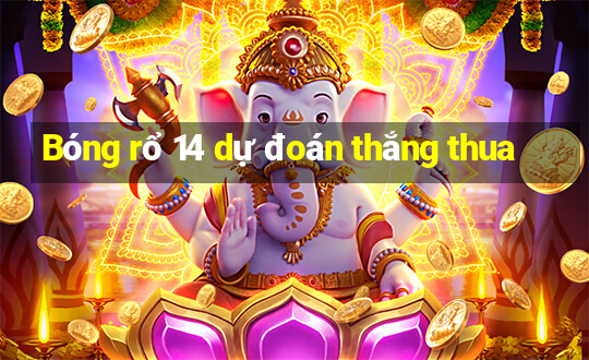 Bóng rổ 14 dự đoán thắng thua