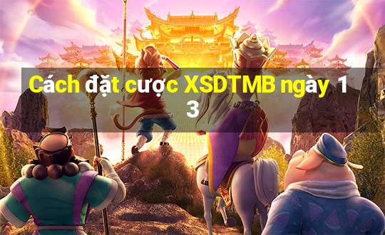 Cách đặt cược XSDTMB ngày 13