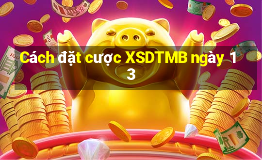 Cách đặt cược XSDTMB ngày 13