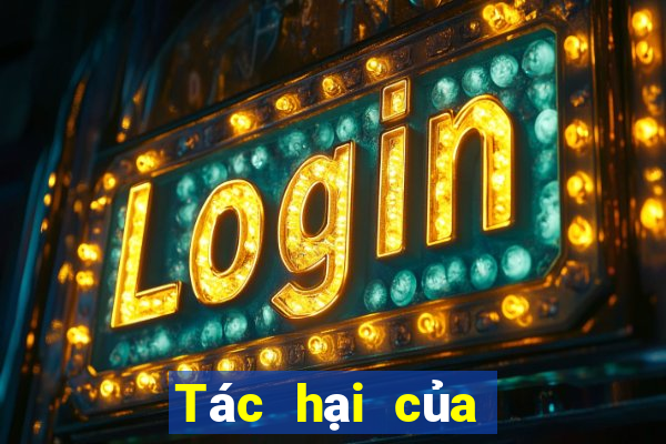 Tác hại của cờ bạc online