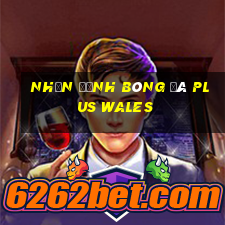 nhận định bóng đá plus wales