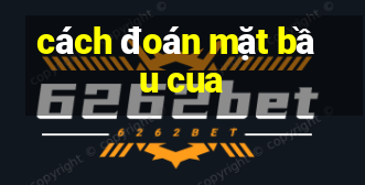 cách đoán mặt bầu cua