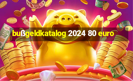 bußgeldkatalog 2024 80 euro