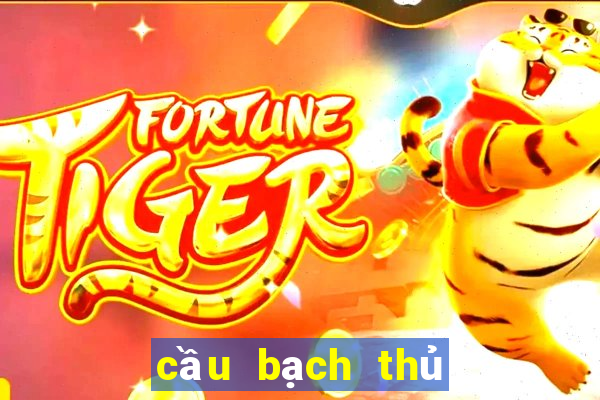 cầu bạch thủ tây ninh