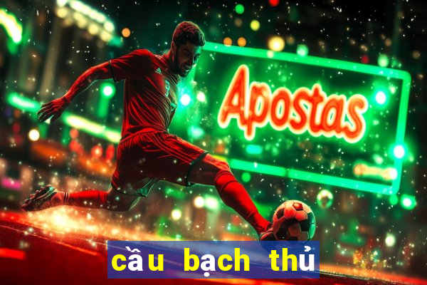 cầu bạch thủ tây ninh