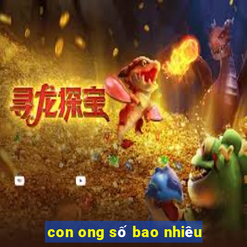 con ong số bao nhiêu