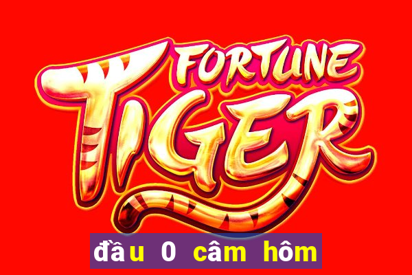 đầu 0 câm hôm sau đánh con gì