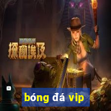 bóng đá vip