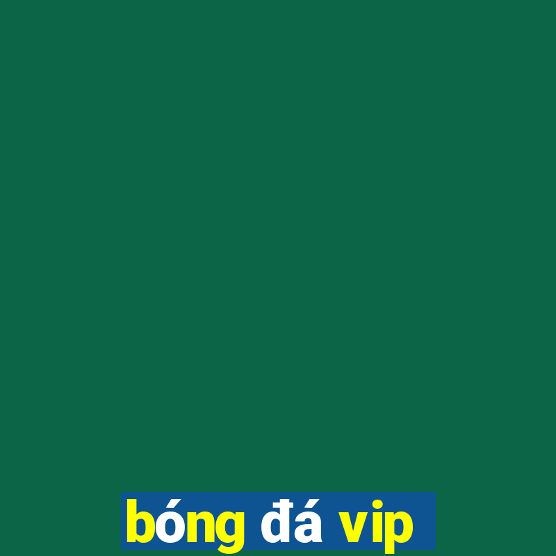 bóng đá vip