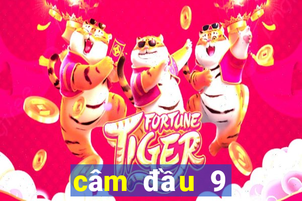 câm đầu 9 đánh con gì