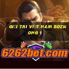 Giải trí Việt nam Bozhong 1