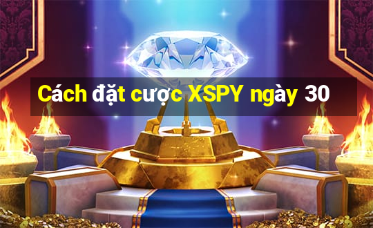 Cách đặt cược XSPY ngày 30