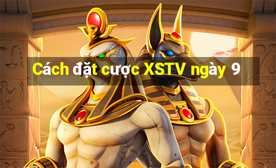 Cách đặt cược XSTV ngày 9