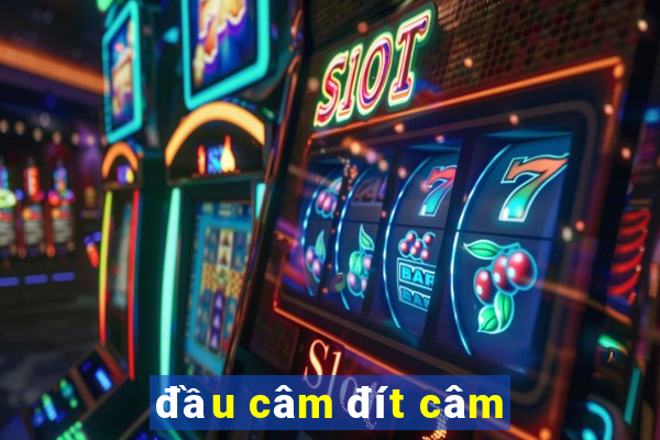 đầu câm đít câm