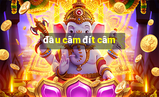 đầu câm đít câm