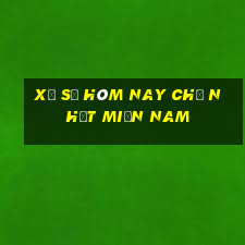 xổ số hôm nay chủ nhật miền nam