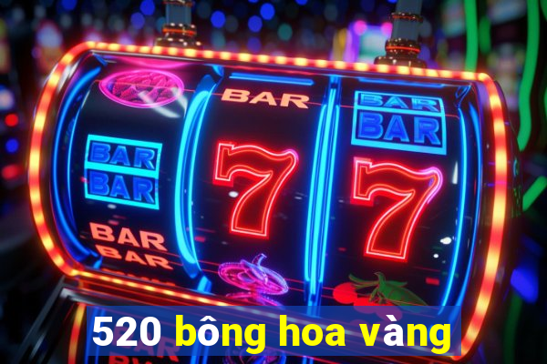 520 bông hoa vàng