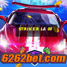 striker là gì