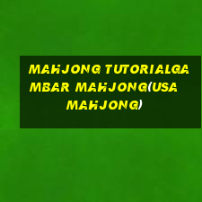 MAHJONG TUTORIALGAMBAR MAHJONG(USA MAHJONG)