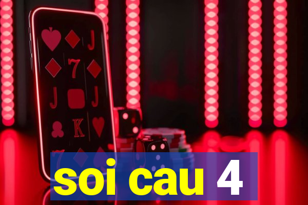 soi cau 4