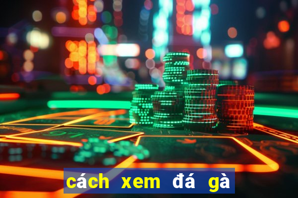 cách xem đá gà thomo trực tiếp