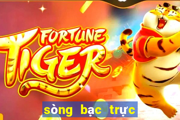 sòng bạc trực tiếp 333666