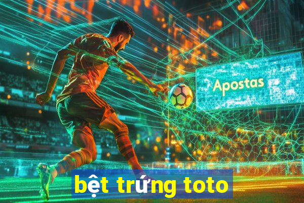 bệt trứng toto