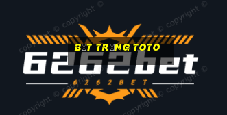 bệt trứng toto