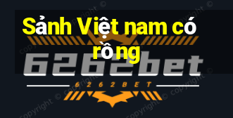 Sảnh Việt nam có rồng