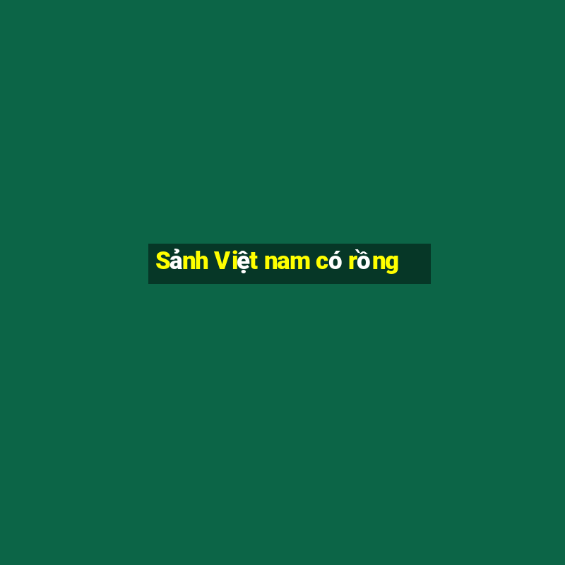 Sảnh Việt nam có rồng