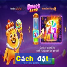 Cách đặt cược XSDNA ngày 2