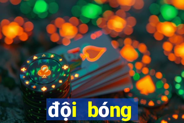 đội bóng ngoại hạng anh