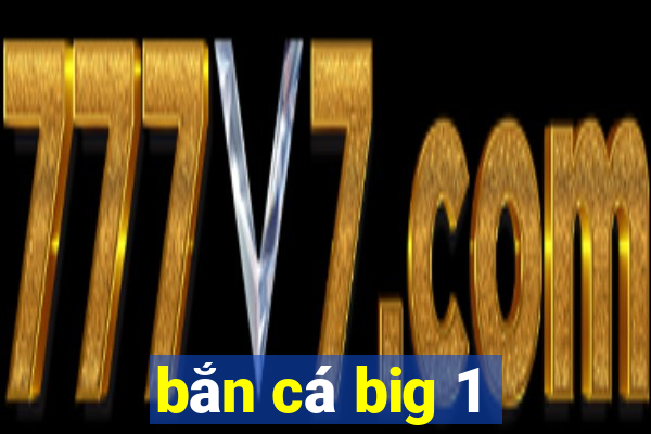 ban ca big 1