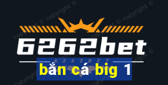 ban ca big 1