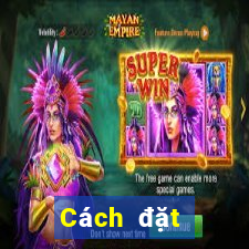 Cách đặt cược XSQB ngày 19