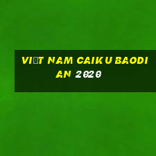 Việt nam Caiku Baodian 2020