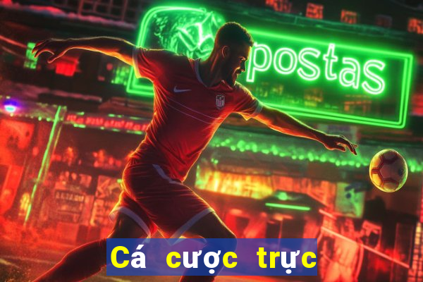 Cá cược trực tuyến tgcasino