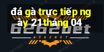 đá gà trực tiếp ngày 21 tháng 04